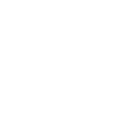 Ícone do WordPress